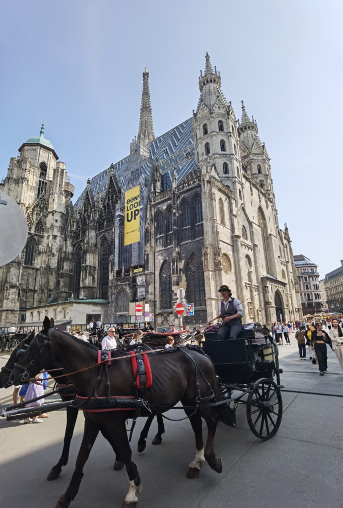 Der Stephansplatz ist das touristische Zentrum im Wien - hier starten auch die Fiaker Pferdekutschen