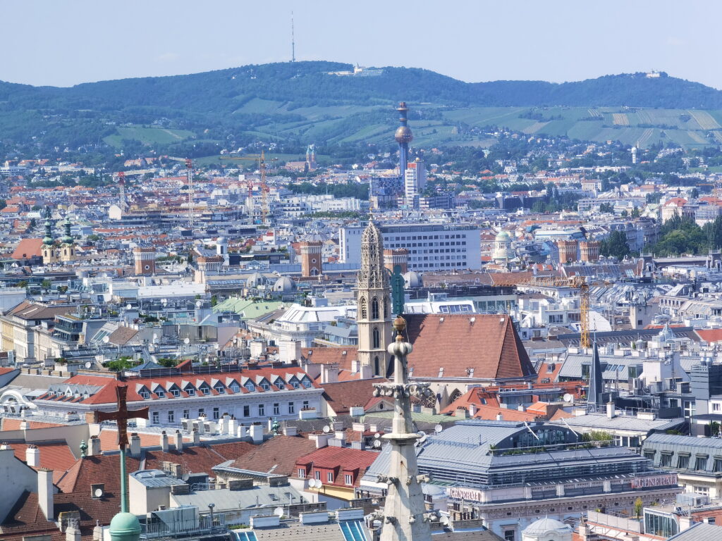Stephansdom Südturm Panorama über die Dächer von Wien